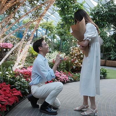 Marriage proposal with diamond ring